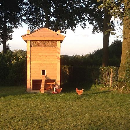 Bed En Boterham Hoeve Boord Ven Bed and Breakfast Eersel Eksteriør billede